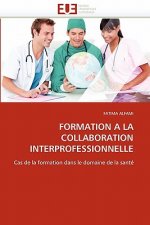 Formation a la Collaboration Interprofessionnelle