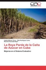 Roya Parda de la Cana de Azucar en Cuba