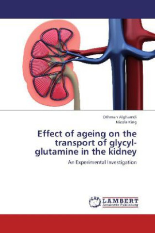 Effect of ageing on the transport of glycyl-glutamine in the kidney