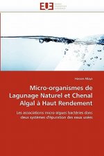 Micro-Organismes de Lagunage Naturel Et Chenal Algal   Haut Rendement