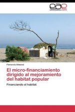 micro-financiamiento dirigido al mejoramiento del habitat popular