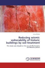Reducing seismic vulnerability of historic buildings by soil treatment