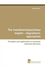 Metalloendopeptidase Meprin - Degradomic Approaches