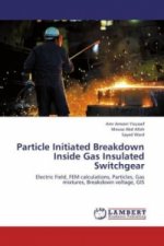 Particle Initiated Breakdown Inside Gas Insulated Switchgear