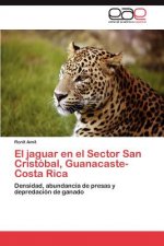 jaguar en el Sector San Cristobal, Guanacaste-Costa Rica