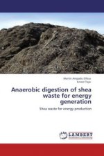 Anaerobic digestion of shea waste for energy generation