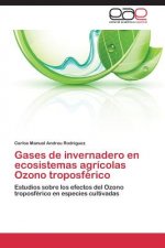 Gases de invernadero en ecosistemas agricolas Ozono troposferico