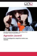 Agresion Juvenil