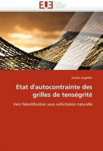 Etat d'autocontrainte des grilles de tenségrité