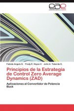 Principios de la Estrategia de Control Zero Average Dynamics (ZAD)