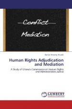Human Rights Adjudication and Mediation