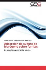 Adsorcion de Sulfuro de Hidrogeno Sobre Ferritas