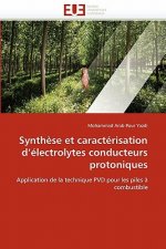 Synth se Et Caract risation D  lectrolytes Conducteurs Protoniques