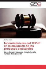 Inconsistencias del TEPJF en la anulacion de los procesos electorales