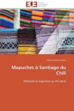 Mapuches   Santiago Du Chili