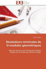 Resolutions minimales de d-modules geometriques