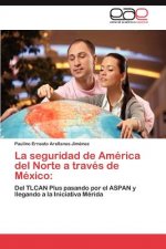 seguridad de America del Norte a traves de Mexico