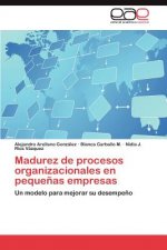 Madurez de Procesos Organizacionales En Pequenas Empresas