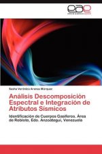 Analisis Descomposicion Espectral e Integracion de Atributos Sismicos