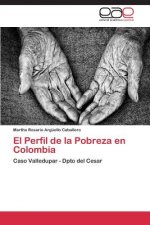 Perfil de la Pobreza en Colombia