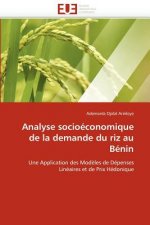 Analyse Socio conomique de la Demande Du Riz Au B nin