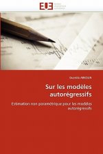 Sur Les Mod les Autor gressifs