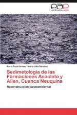 Sedimetologia de las Formaciones Anacleto y Allen, Cuenca Neuquina
