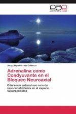 Adrenalina como Coadyuvante en el Bloqueo Neuroaxial
