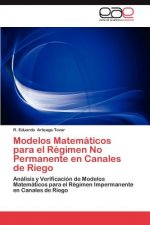 Modelos Matematicos para el Regimen No Permanente en Canales de Riego