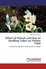 Effect of Potash and Size of Seedling Tuber on Potato Yield