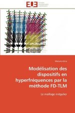 Mod lisation Des Dispositifs En Hyperfr quences Par La M thode Fd-Tlm