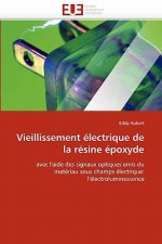 Vieillissement electrique de la resine epoxyde