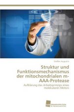 Struktur und Funktionsmechanismus der mitochondrialen m-AAA-Protease