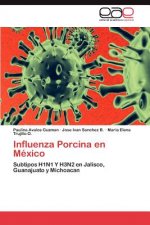 Influenza Porcina en Mexico