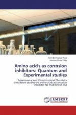 Amino acids as corrosion inhibitors: Quantum and Experimental studies