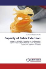 Capacity of Public Extension