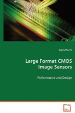 Large Format CMOS Image Sensors
