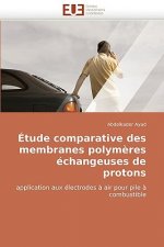 tude Comparative Des Membranes Polym res  changeuses de Protons