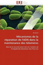 M canismes de la R paration de l''adn Dans La Maintenance Des T lom res