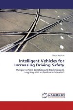 Intelligent Vehicles for Increasing Driving Safety