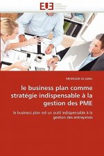 Le Business Plan Comme Strat gie Indispensable   La Gestion Des Pme