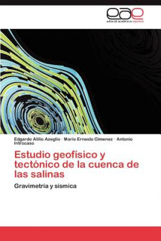 Estudio geofisico y tectonico de la cuenca de las salinas