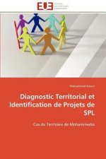 Diagnostic Territorial Et Identification de Projets de Spl