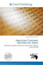 American Customer Satisfaction Index