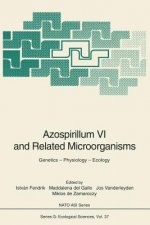 Azospirillum VI and Related Microorganisms