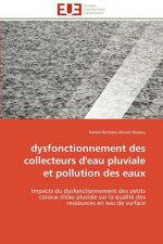 Dysfonctionnement Des Collecteurs d'Eau Pluviale Et Pollution Des Eaux