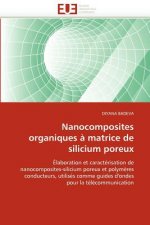 Nanocomposites Organiques   Matrice de Silicium Poreux