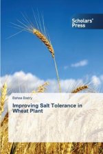 Improving Salt Tolerance in Wheat Plant