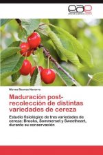 Maduracion Post-Recoleccion de Distintas Variedades de Cereza