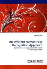 An Efficient Human Face Recognition Approach